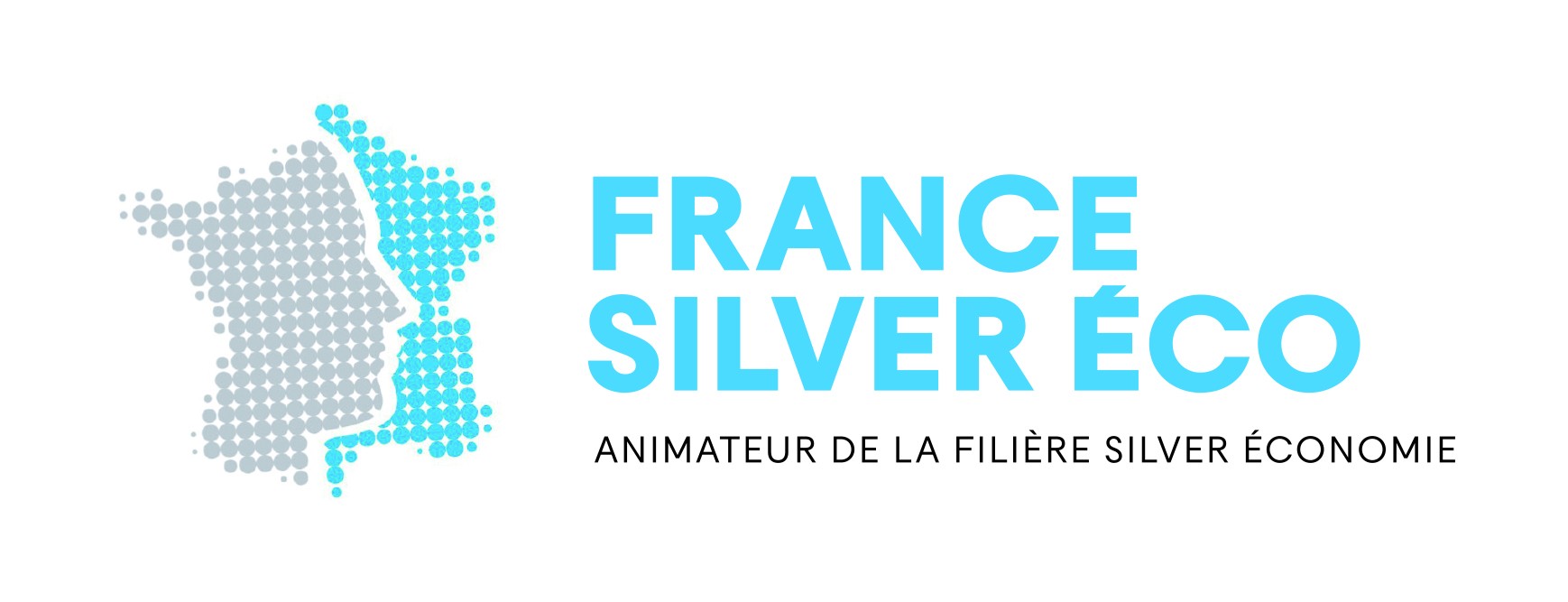 FRANCE SILVER ECO